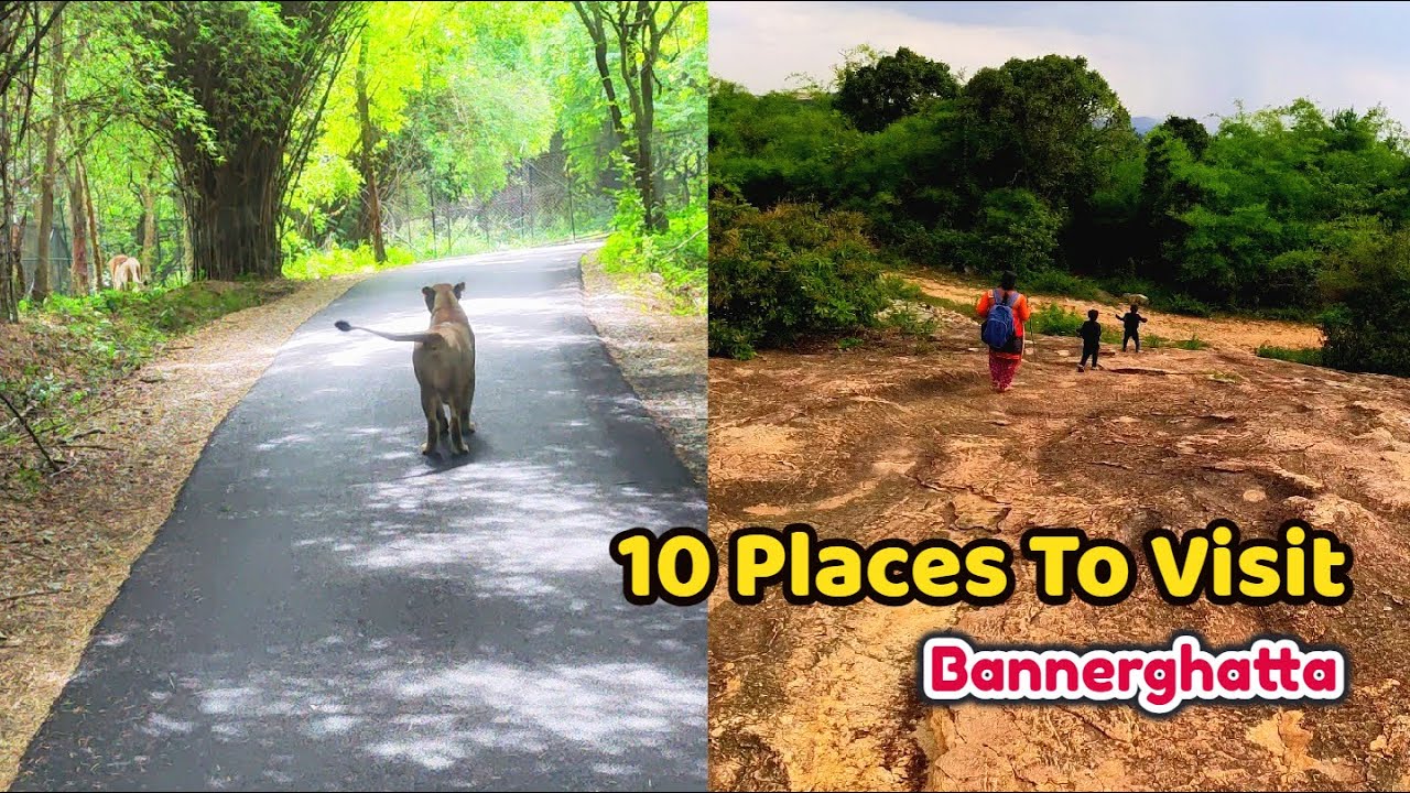 Top 10 Places To Visit in Bannerghatta, Bangalore | Weekend trip | A cool Day Trip to Bannerghatta