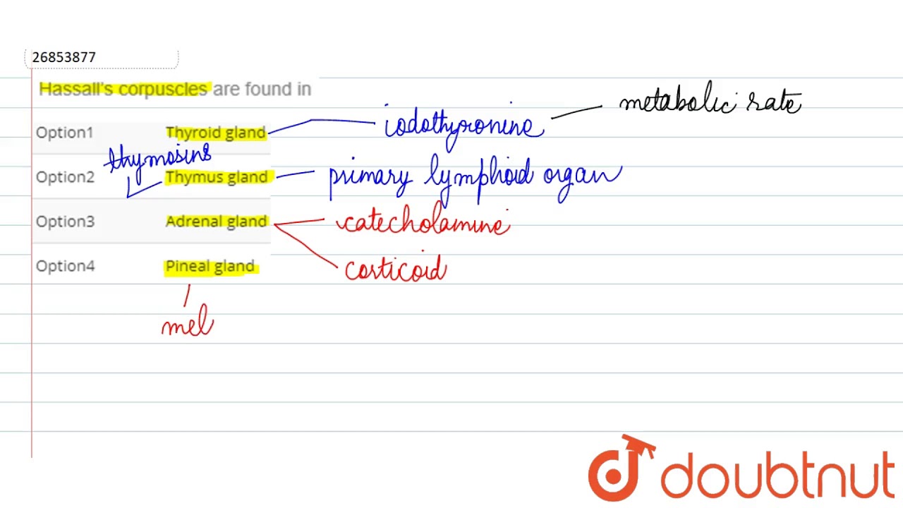 Hassall�s corpuscles are found in l d