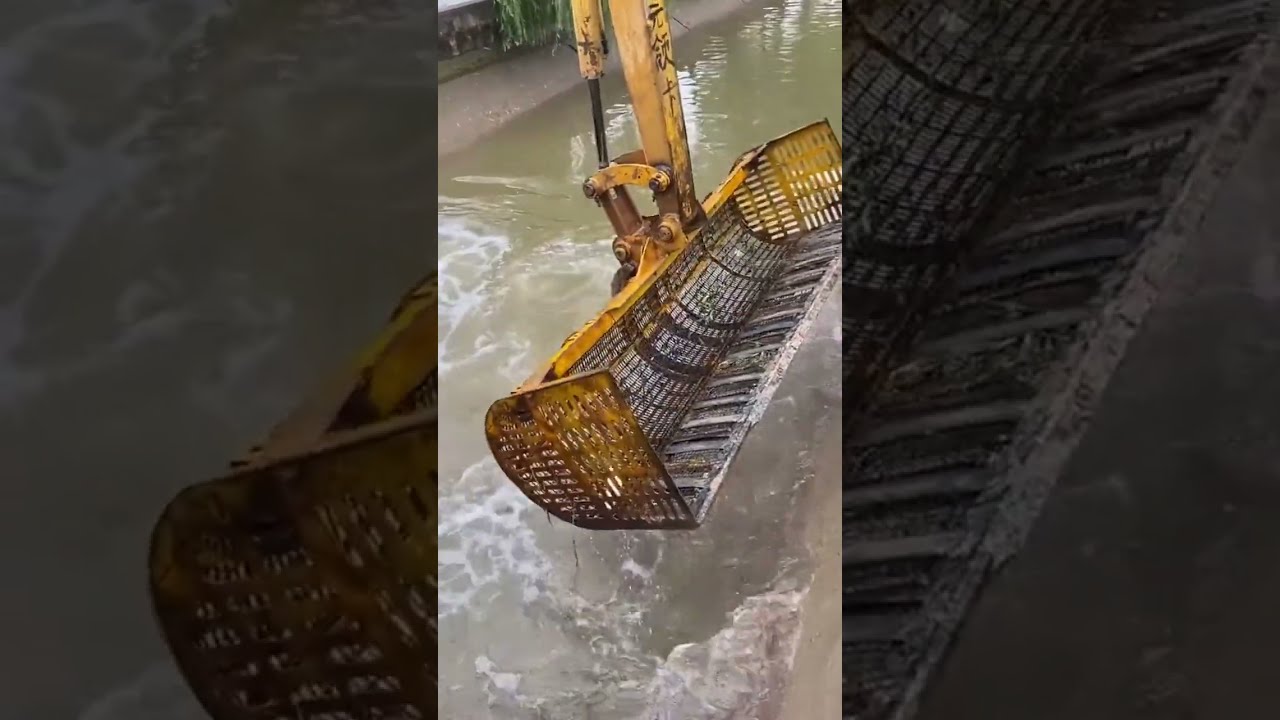 Fish 🐟🐠  Caught by JCB [255]