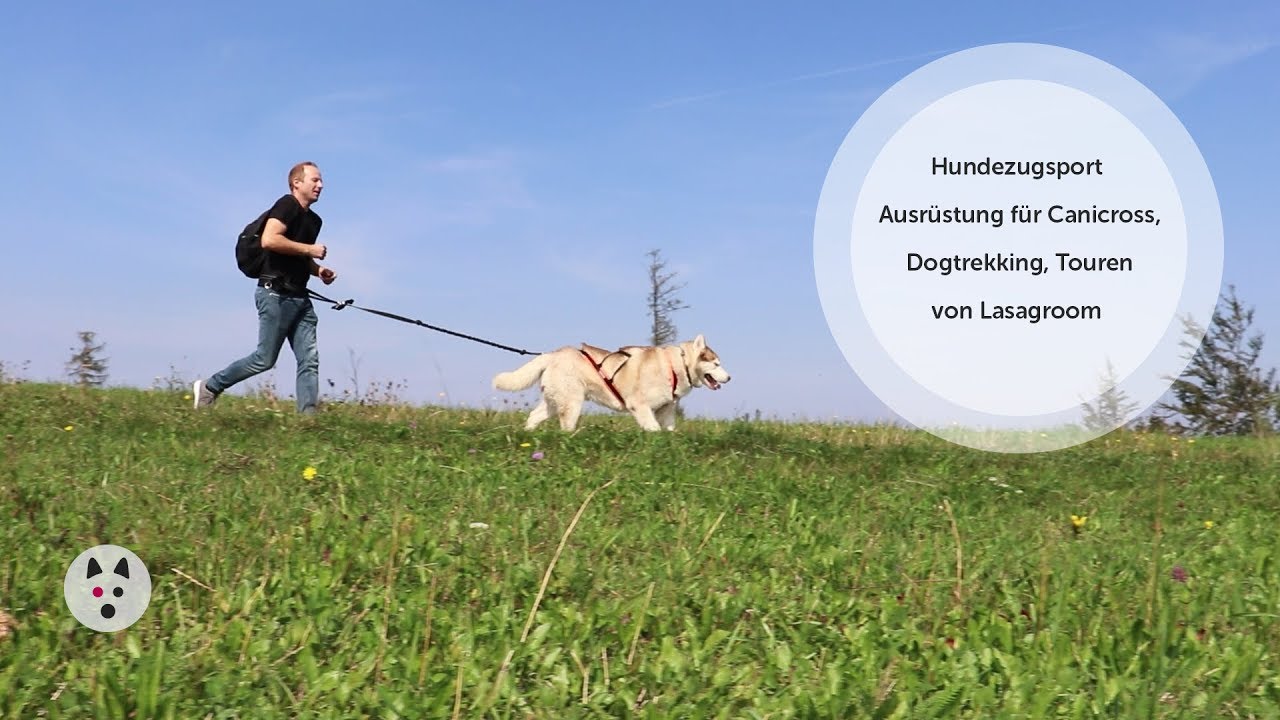 Lasagroom Hundezugsport Ausr&uuml;stung f&uuml;r Canicross Dogtrekking Touren