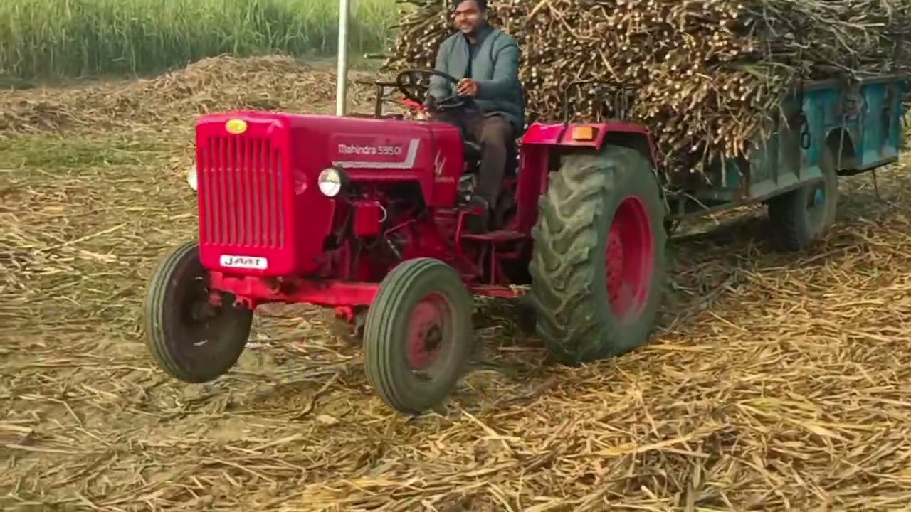 Mahindra 595 Turbo का असली पावर! गन्नों से भरी ट्रॉली और भाई का खतरनाक स्टंट 🚜🔥