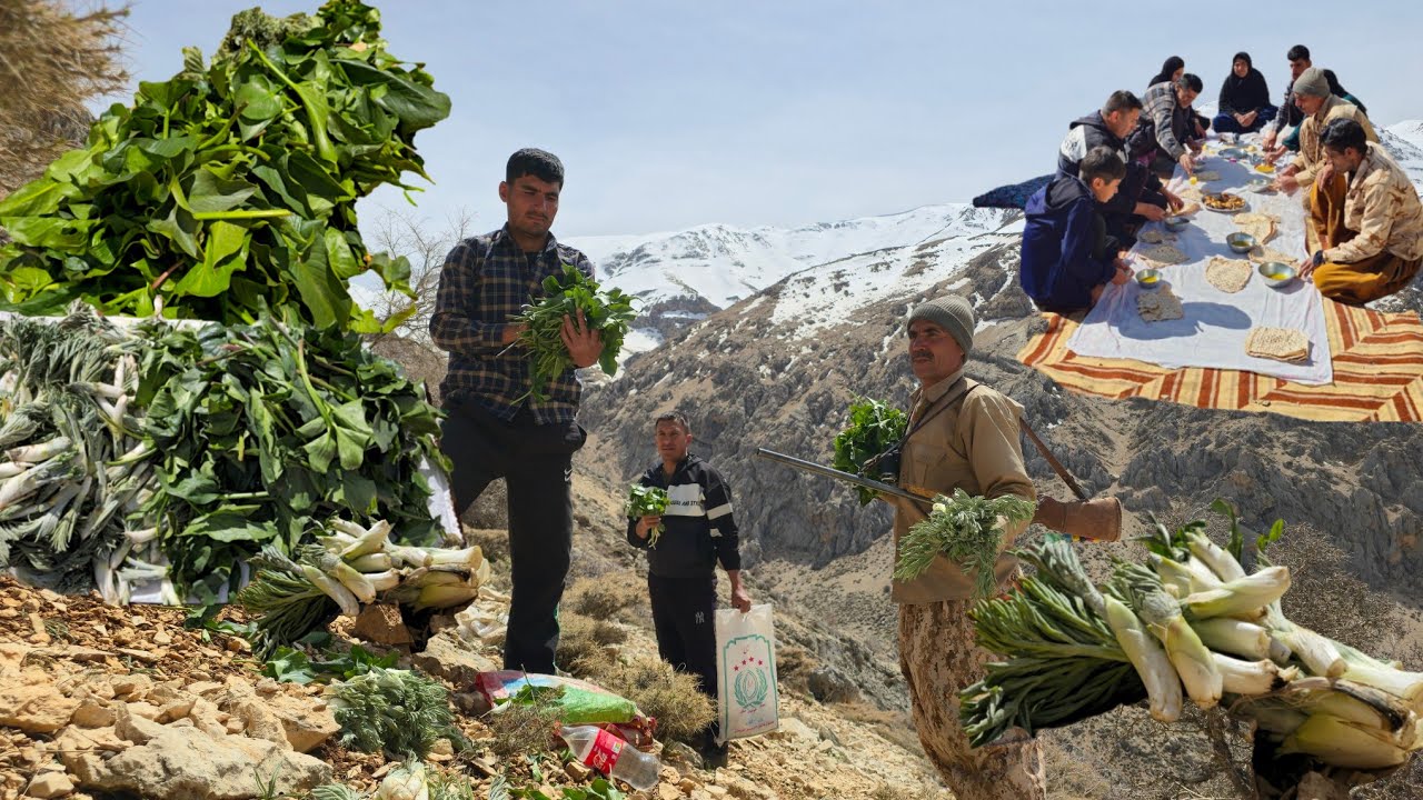 Iran nomadic Life: 🍃A Nomadic Family's Journey to Cold and Nature to Bring Wild Plants🌱
