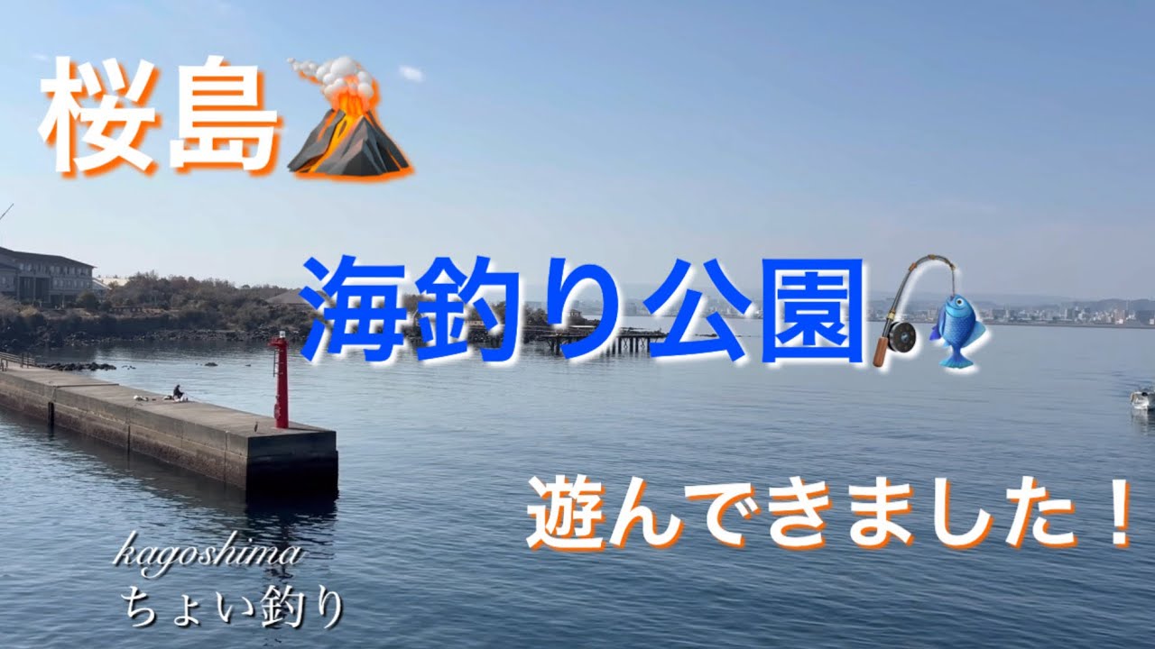桜島海釣り公園で遊んできました！