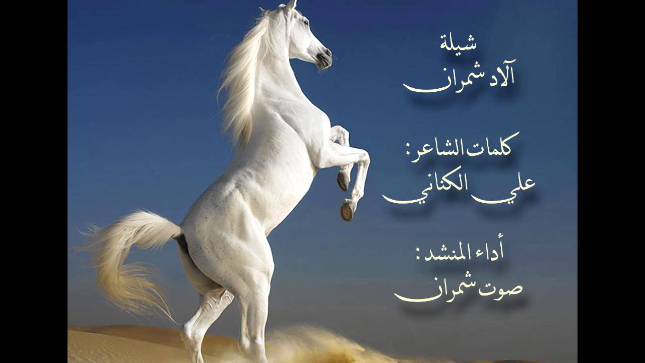 شيلة آلاد شمران l أداء : أحمد الشمراني