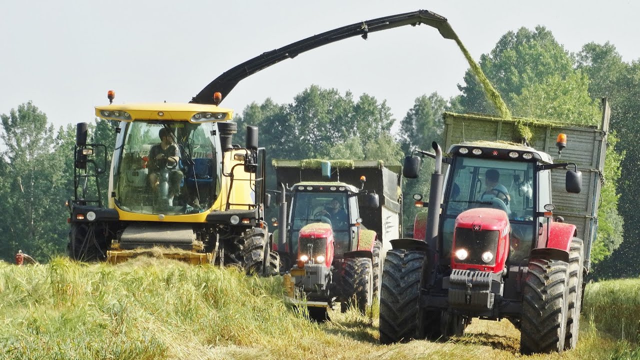 Barley Silage | New Holland FR9060 Yellow Bull + Discbine 520 | MF 7480/7499 + Fendt 930