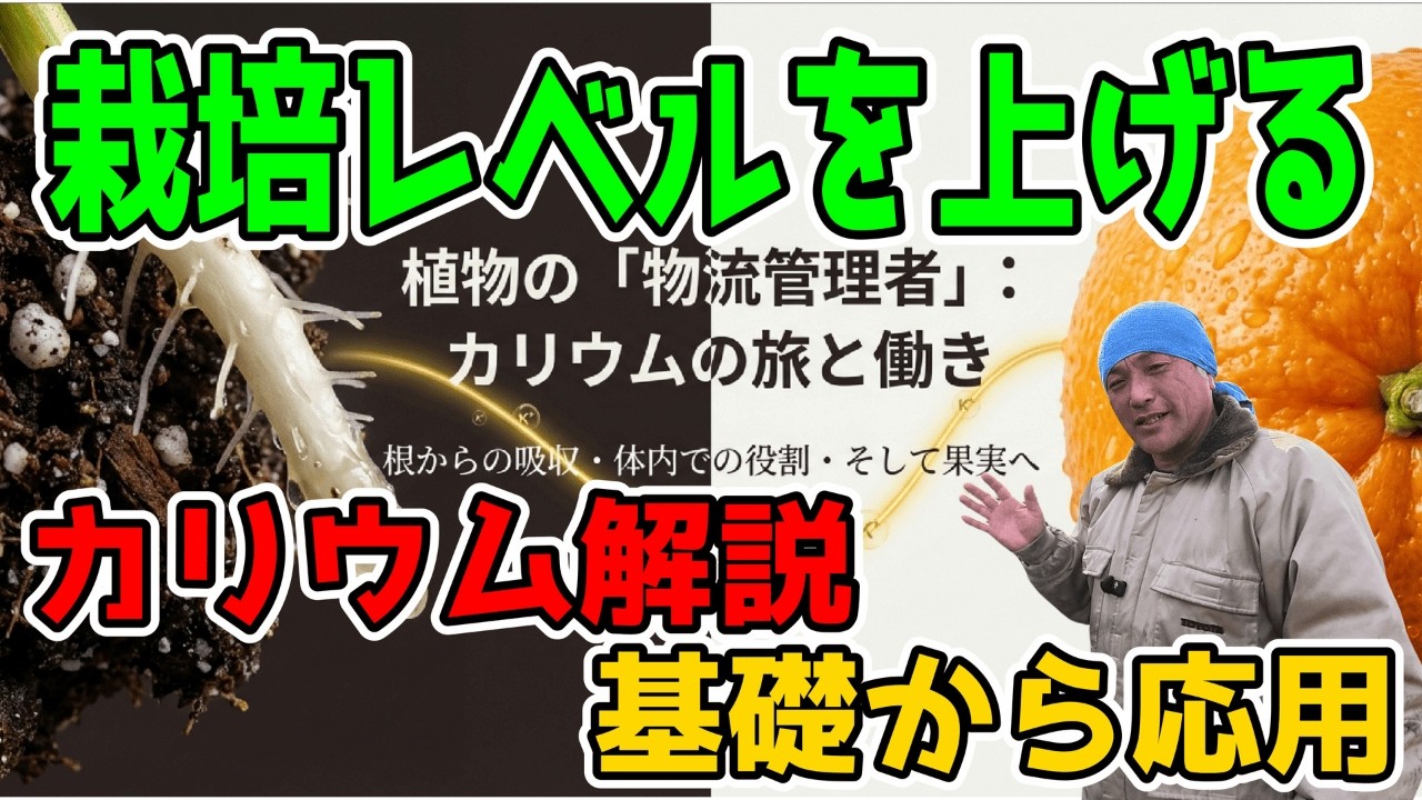 【秘話】カリウムは植物の物流王？基礎から応用まで完全解説｜Potassium Power