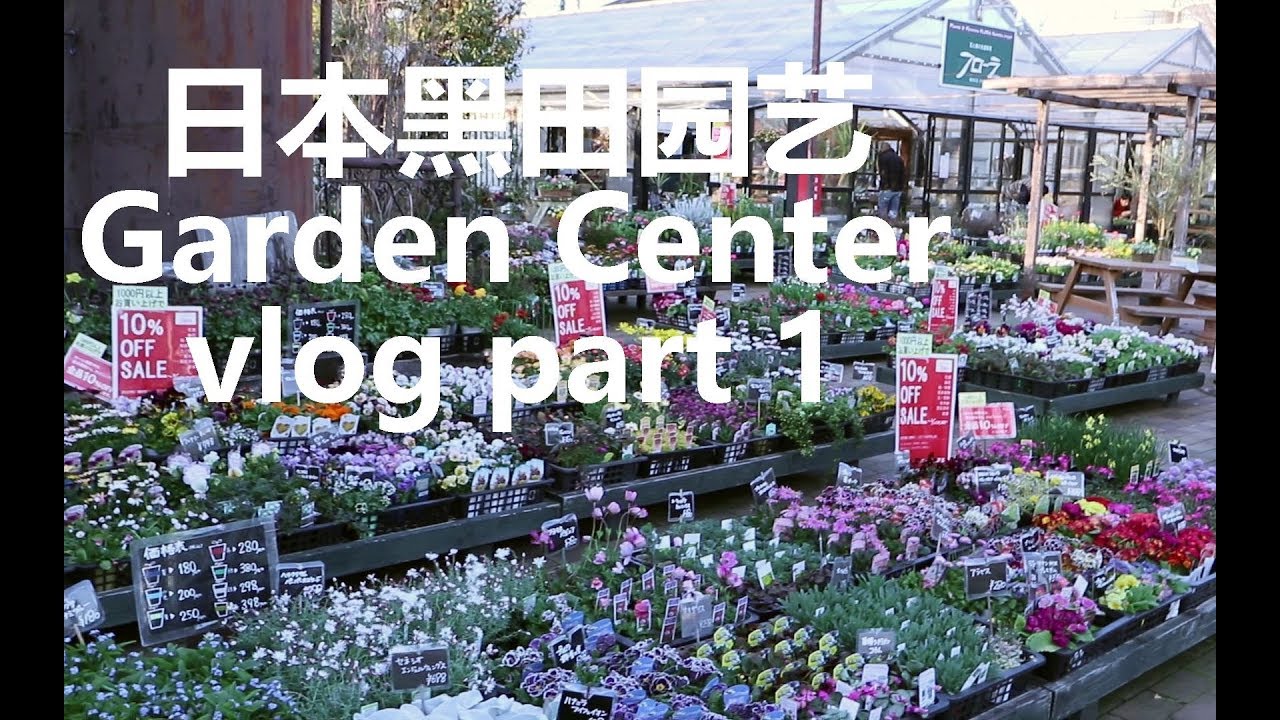 【Emily's VLOG】日本东京超人气黑田园艺花园中心探店之旅 part1