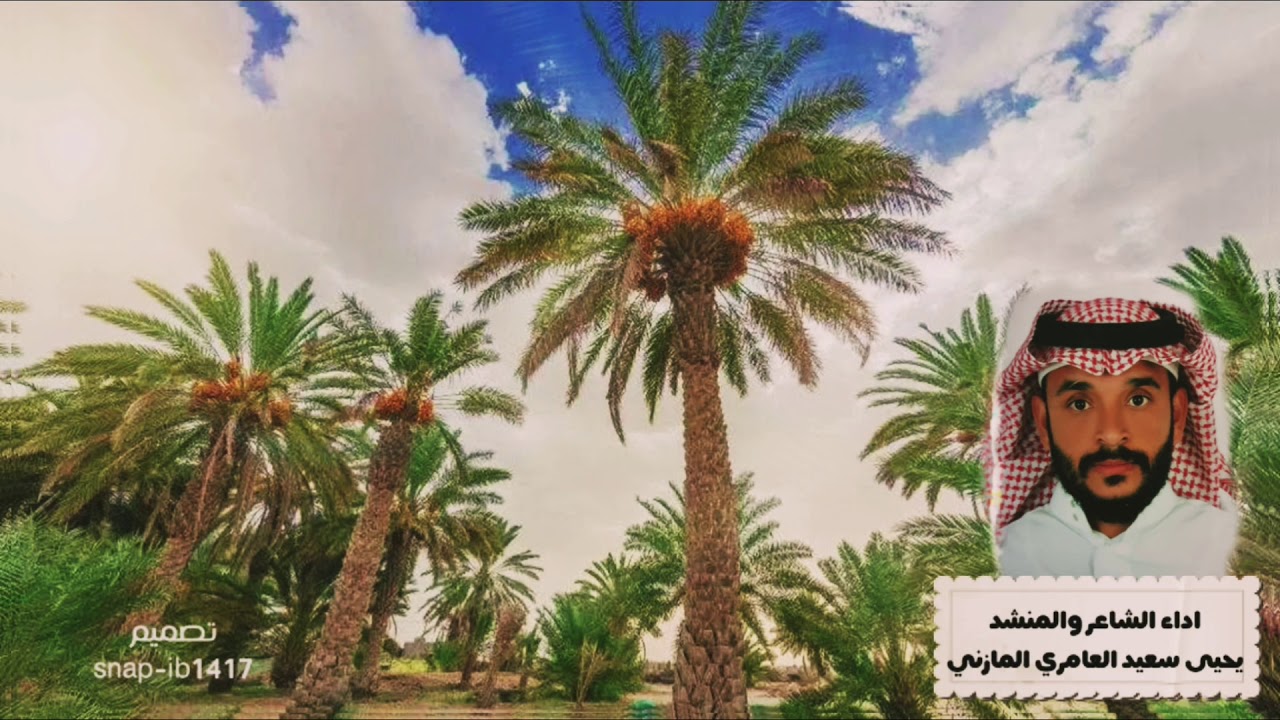 قال ابن عشقه | اداء المنشد يحيى سعيد العامري