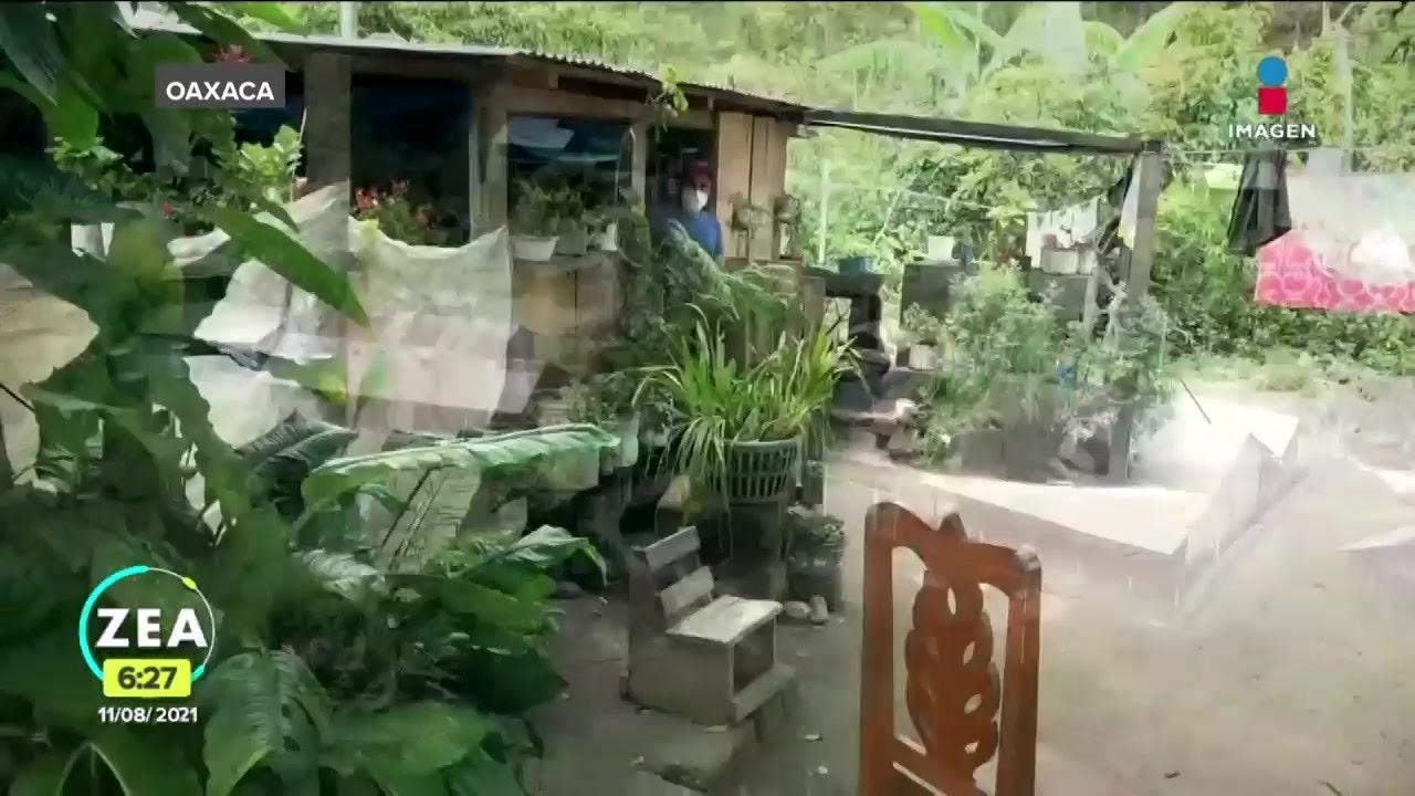 La covid 19 lleg&oacute; a la selva de los Chimalapas en Oaxaca