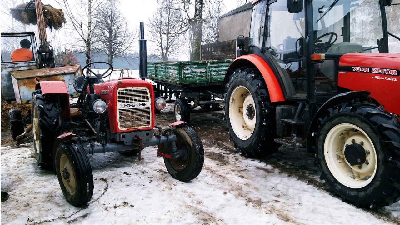 Zimowy Wywóz Obornika - Ursus c-330 , Zetor 7341 , Autosan
