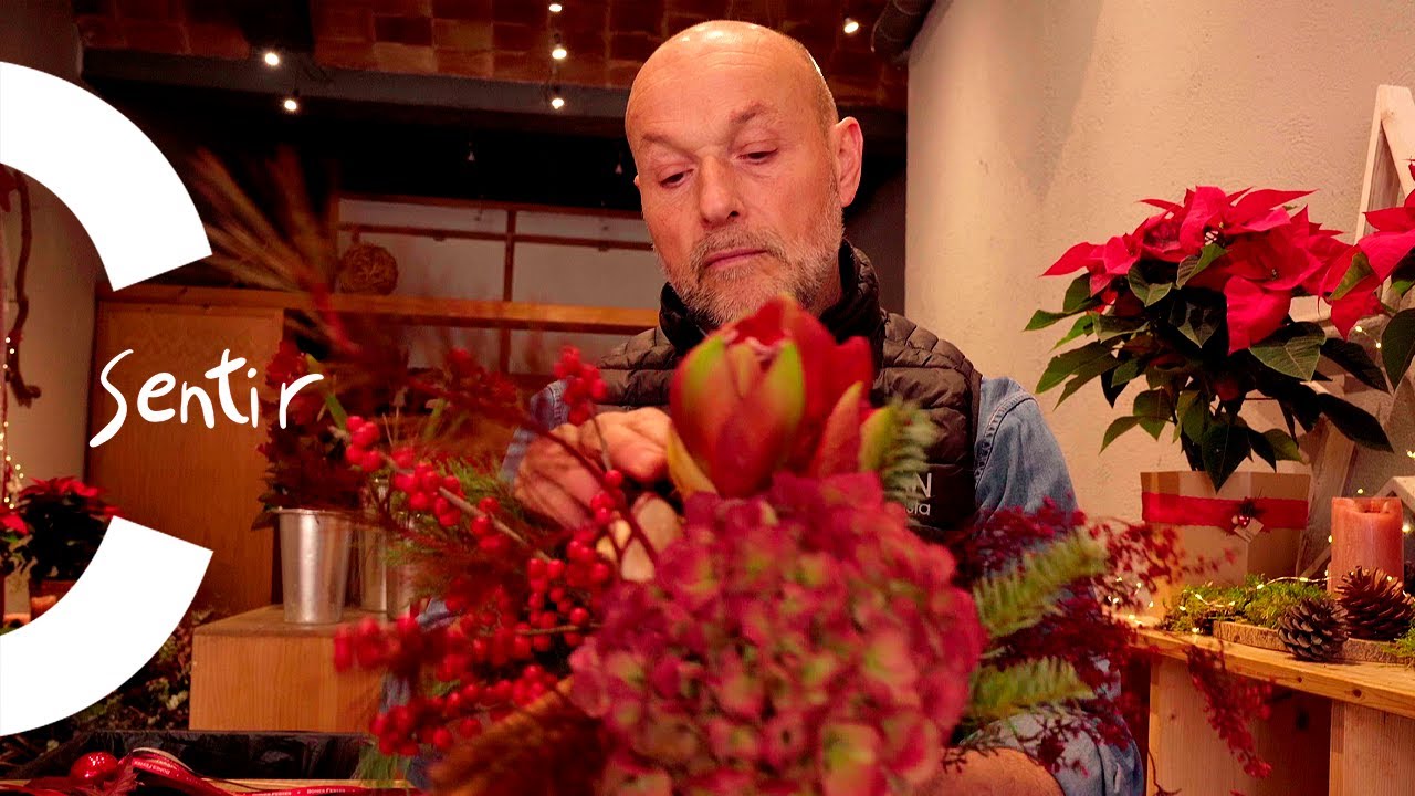 Flors per desplegar les ales, per Jordi Ferran | Sentir (T1xC1)