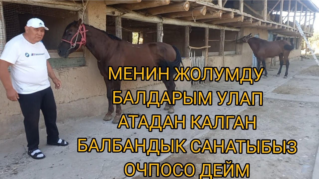 Эрмек чапкан аттар