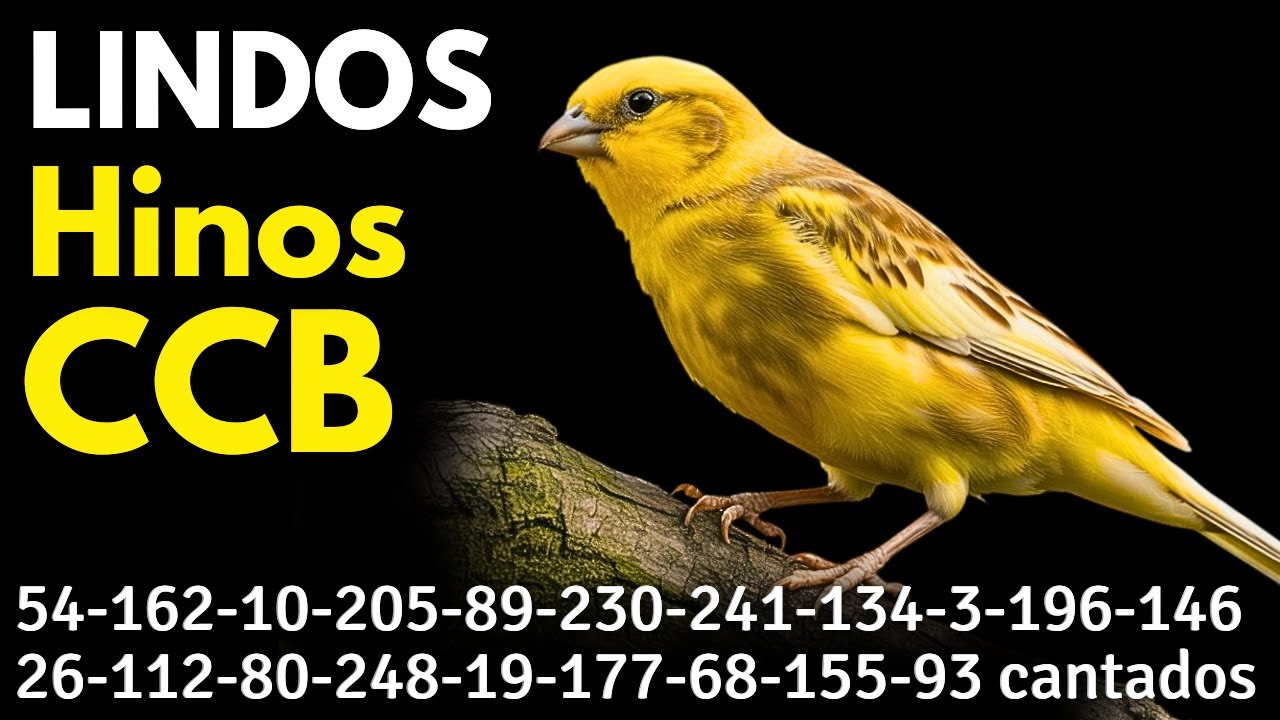 HINOS CCB 54-162-10-205-89-230-241-134-3-196-146-26-112-80-248-19-177-68-155-93 cantados