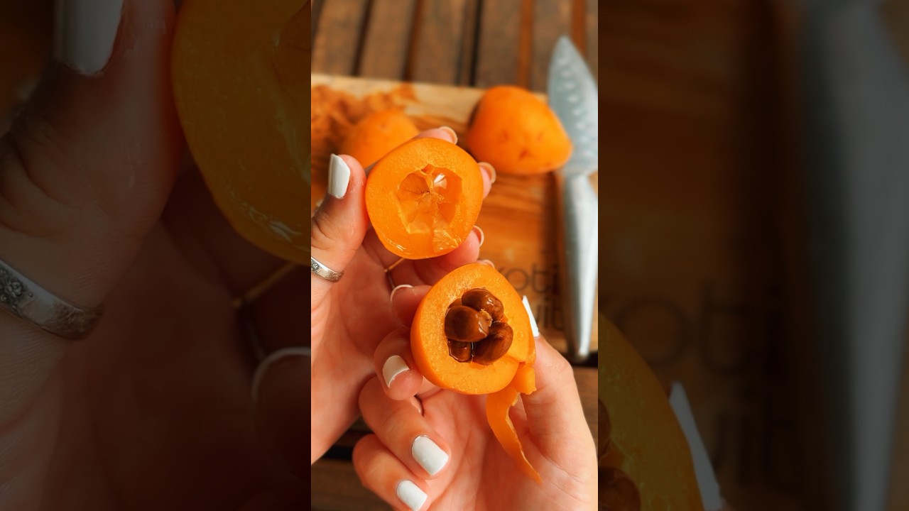 Have you ever heard of the #loquat fruit? 😍 #exoticfruits #loquats