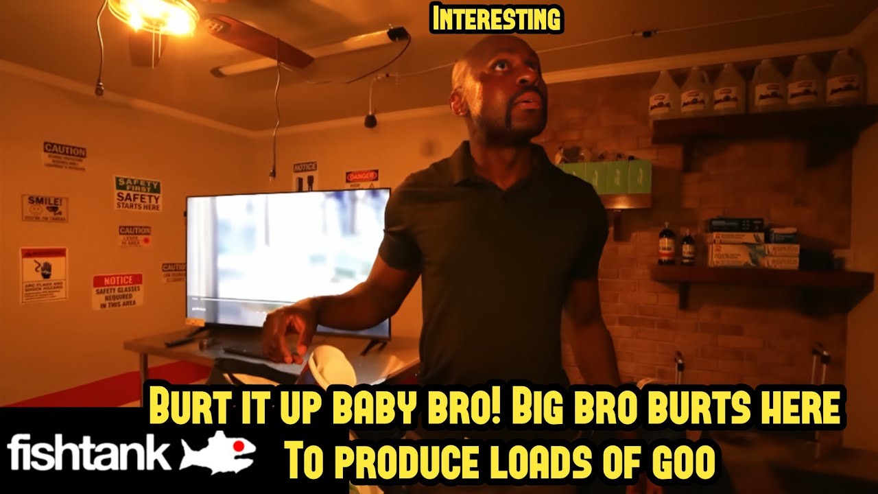 Burt it up! Freeloader Burt Bronx enters the tank to make goo! - Fishtank Live Season 5 Day 25