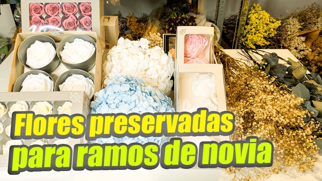 🌸 Flores Preservadas para Ramos de Novia | Rosas, Hortensias, Peonías + Sorpresa