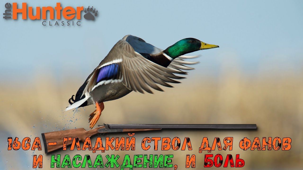 theHunter Classic/16GA - и Наслаждение, и Боль/Охота на крякву/Ночной-Ностальгический