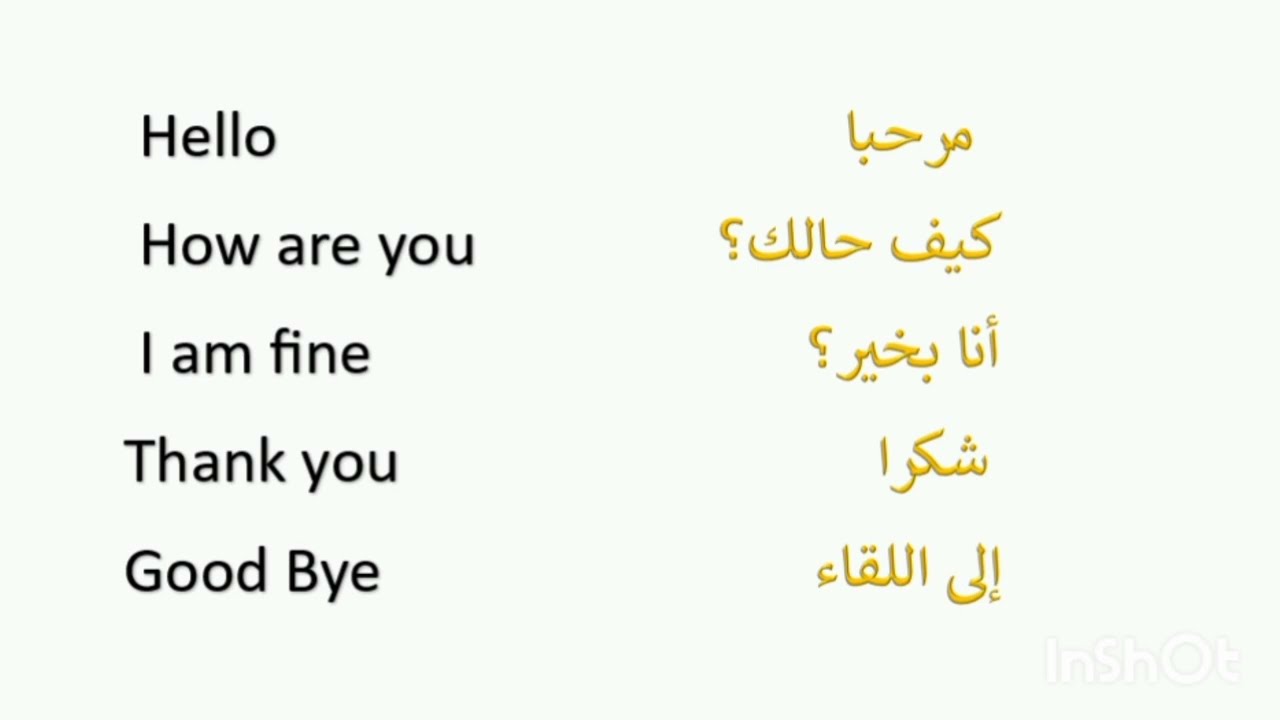 للمبتدئين 5 جمل باللغة الإنجليزية للمحادثة اليومية / Step 1