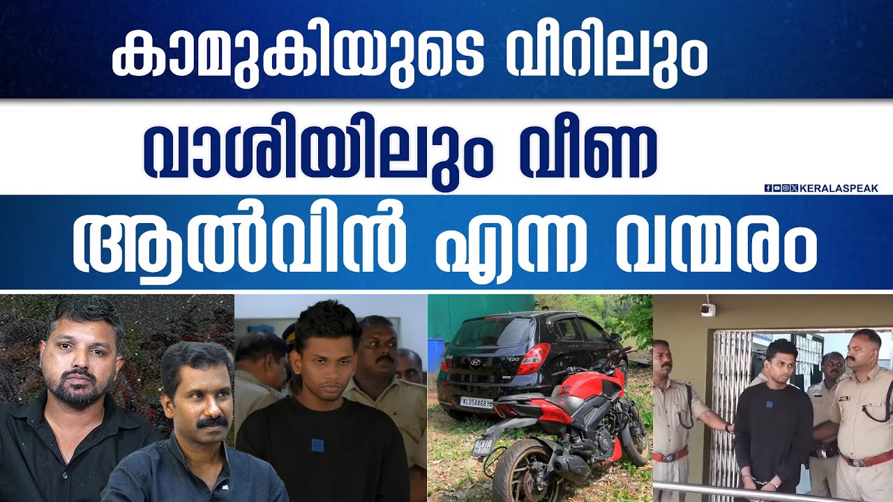 ആൽവിനെന്ന വന്മരത്തെ വീഴ്ത്തിയ കാമുകി..