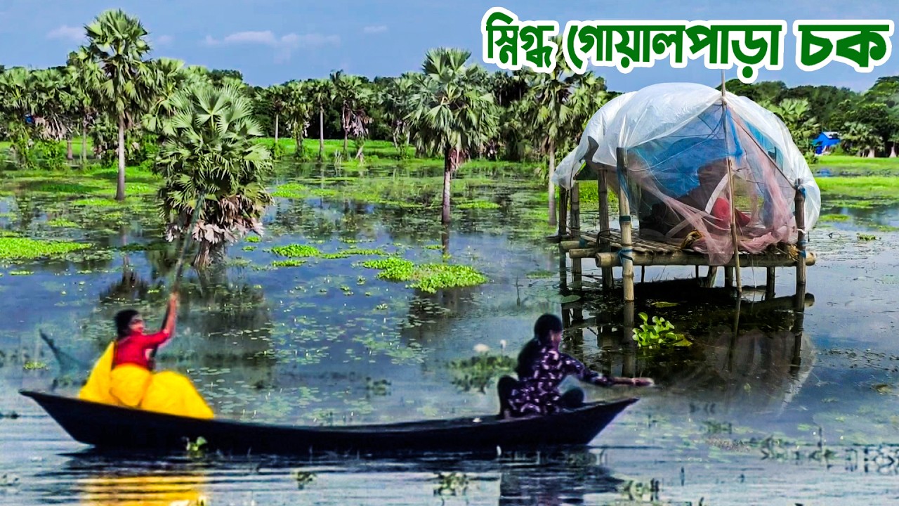 প্রাকৃতিক সৌন্দর্যে ঘেরা ফরিদপুরের গোয়ালপাড়া চক || Panorama Documentary