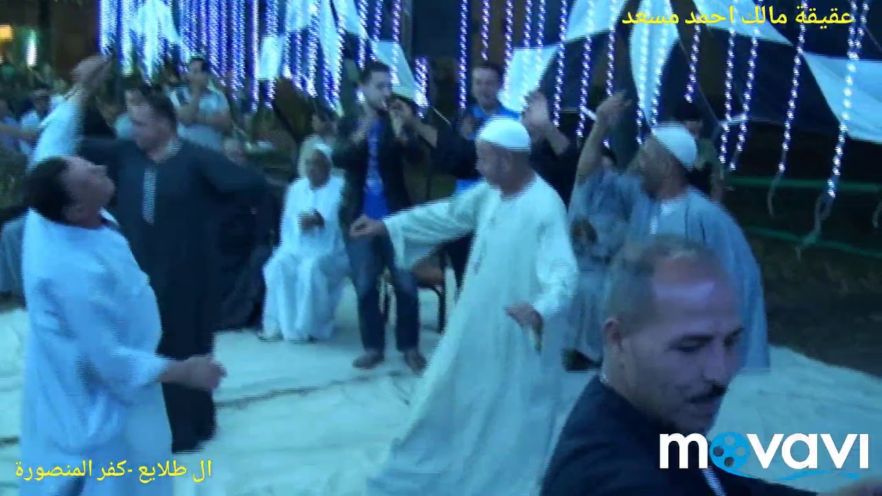 الشيخ علاء البنداري (ذكر ٢) - عقيقة مالك احمد مسعد - آل طلايع كفر المنصورة