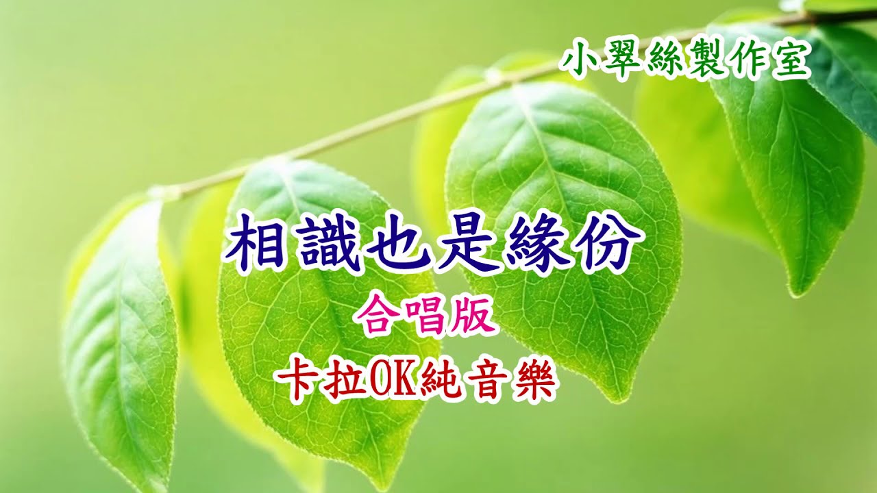 相識也是緣份(合唱版)卡拉OK純音樂 2020