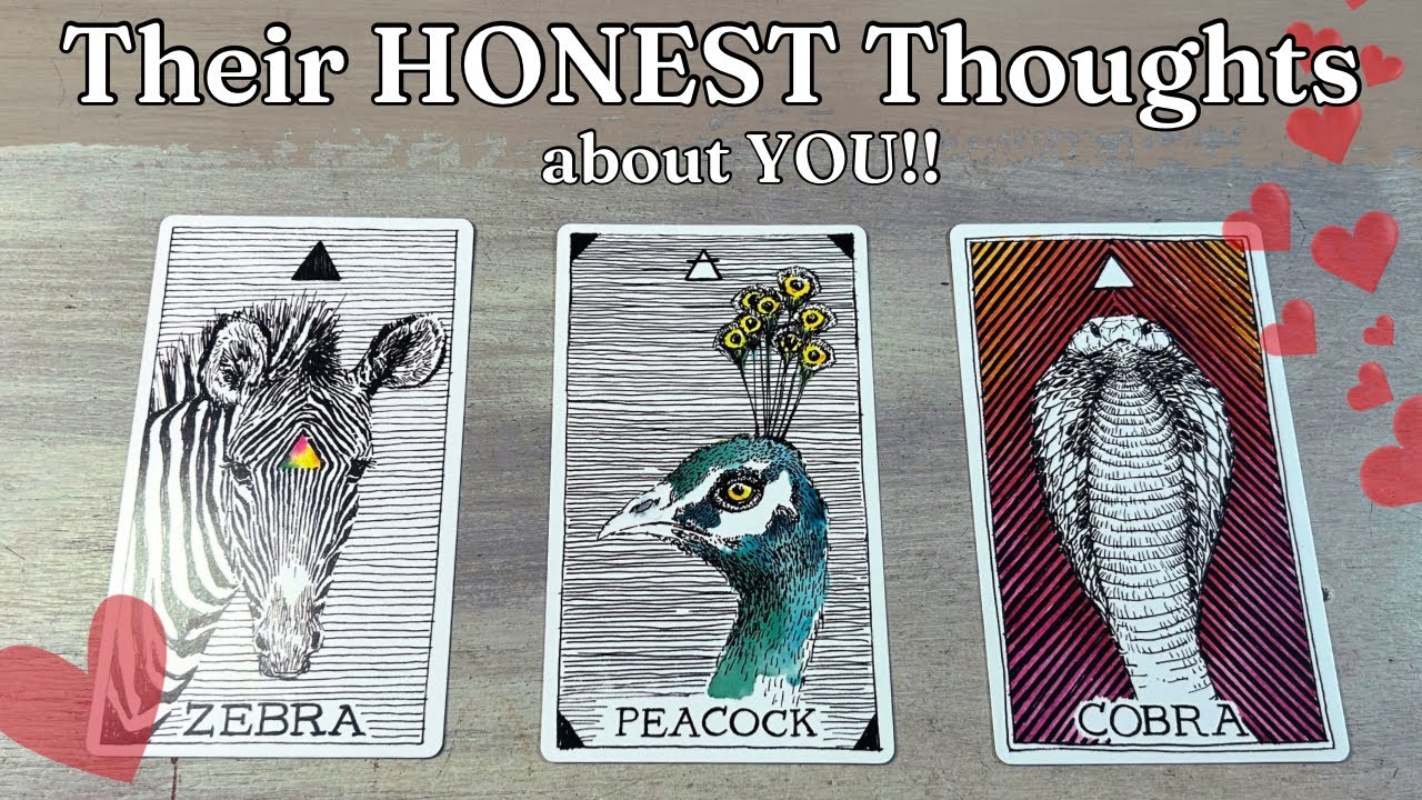 💬🤔💭 Their HONEST Thoughts about You!!  Detailed Love Pick A Card Timeless Tarot reading