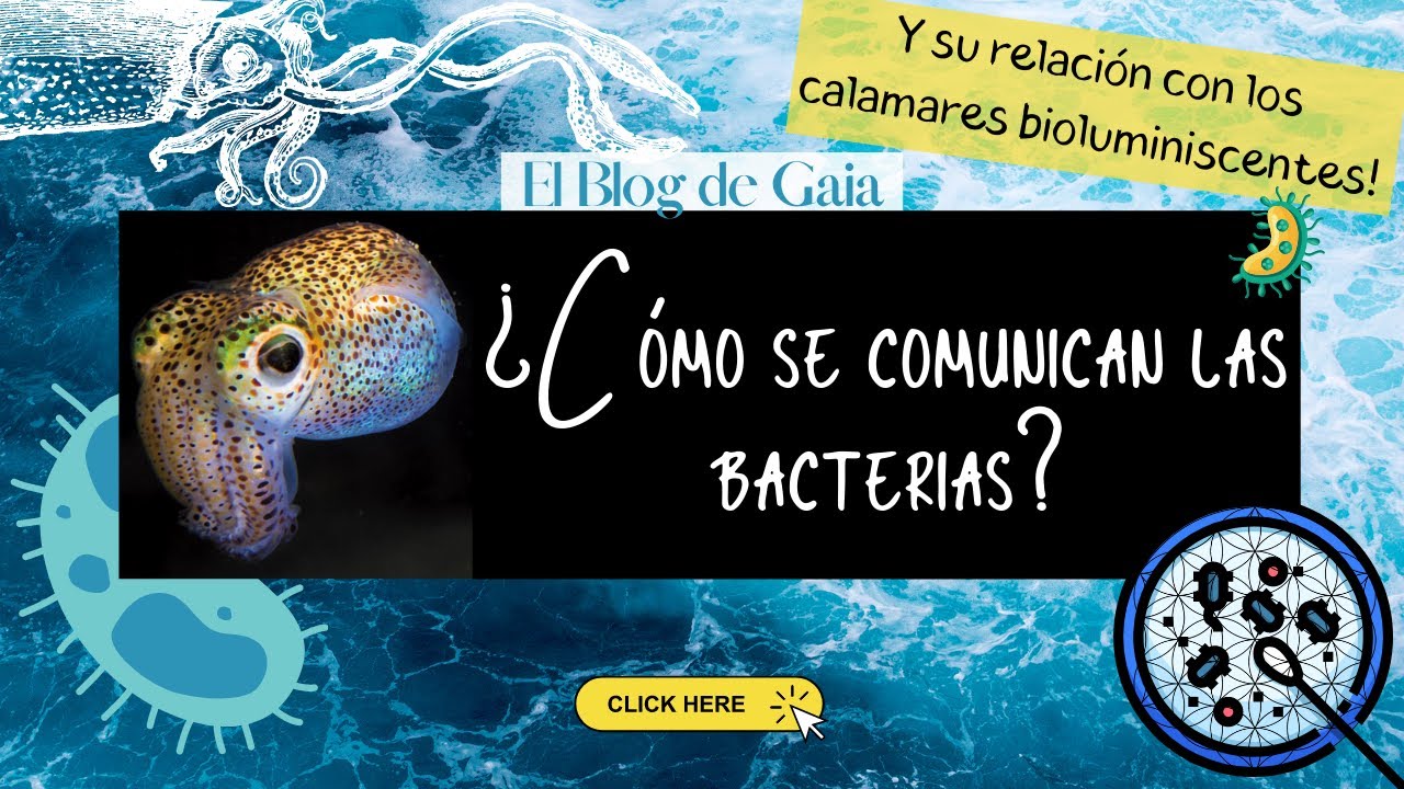 ¿Las bacterias se comunican? | Quorum sensing en bacterias | El Blog de Gaia