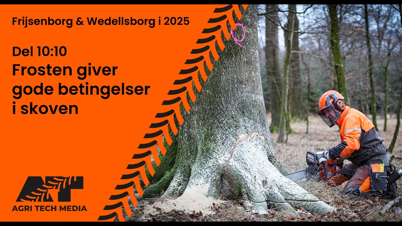 🇩🇰 Frijsenborg i Wedellsborg w 2025 roku &ndash; część 10: Mr&oacute;z zapewnia dobre warunki w lesie