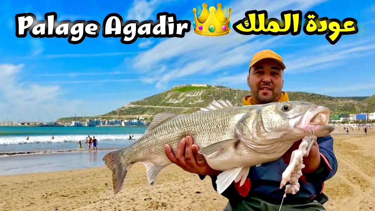 صيد الدرعي بالأخطبوط بطريقة فعالة بتقنية سورف كستينغ 