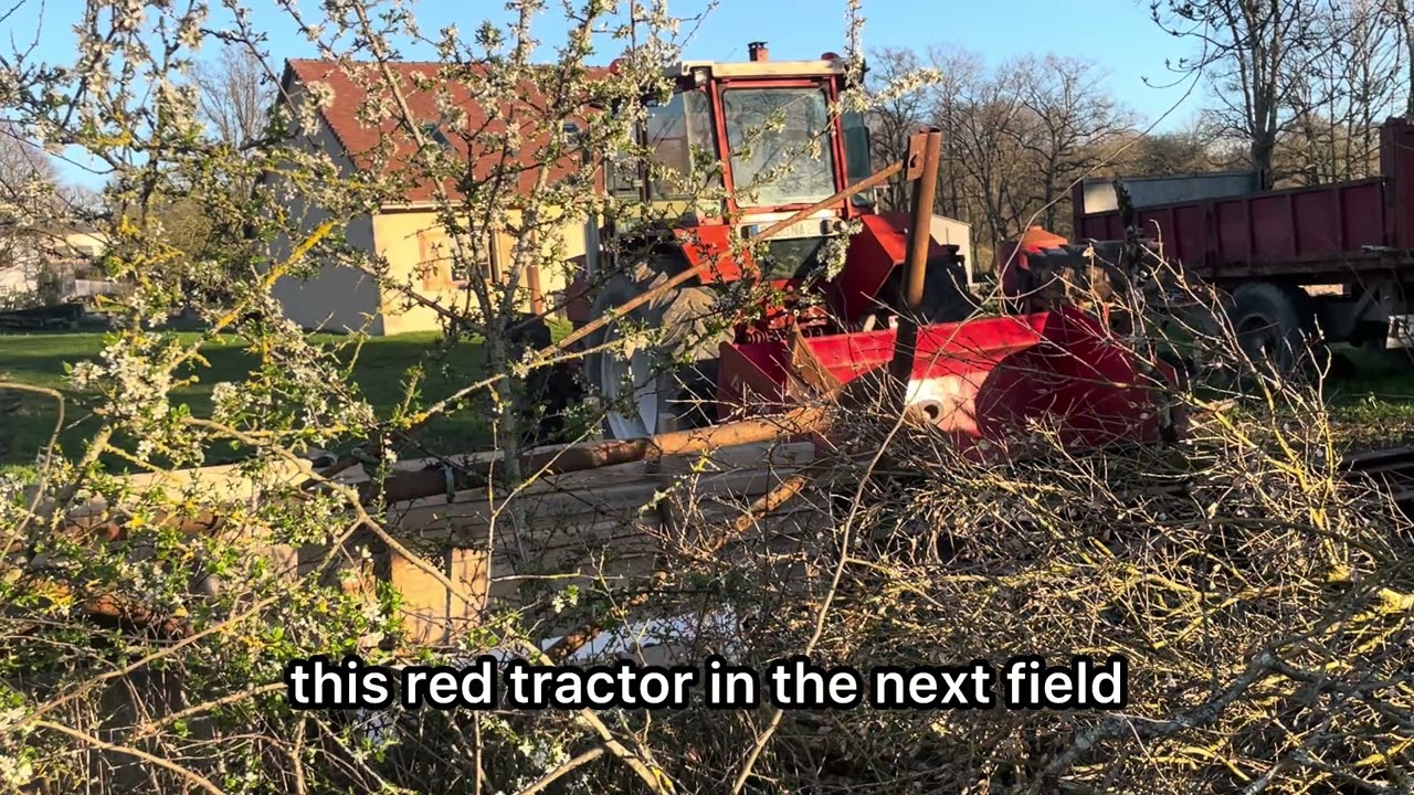 Planting an orchard in a cow field.