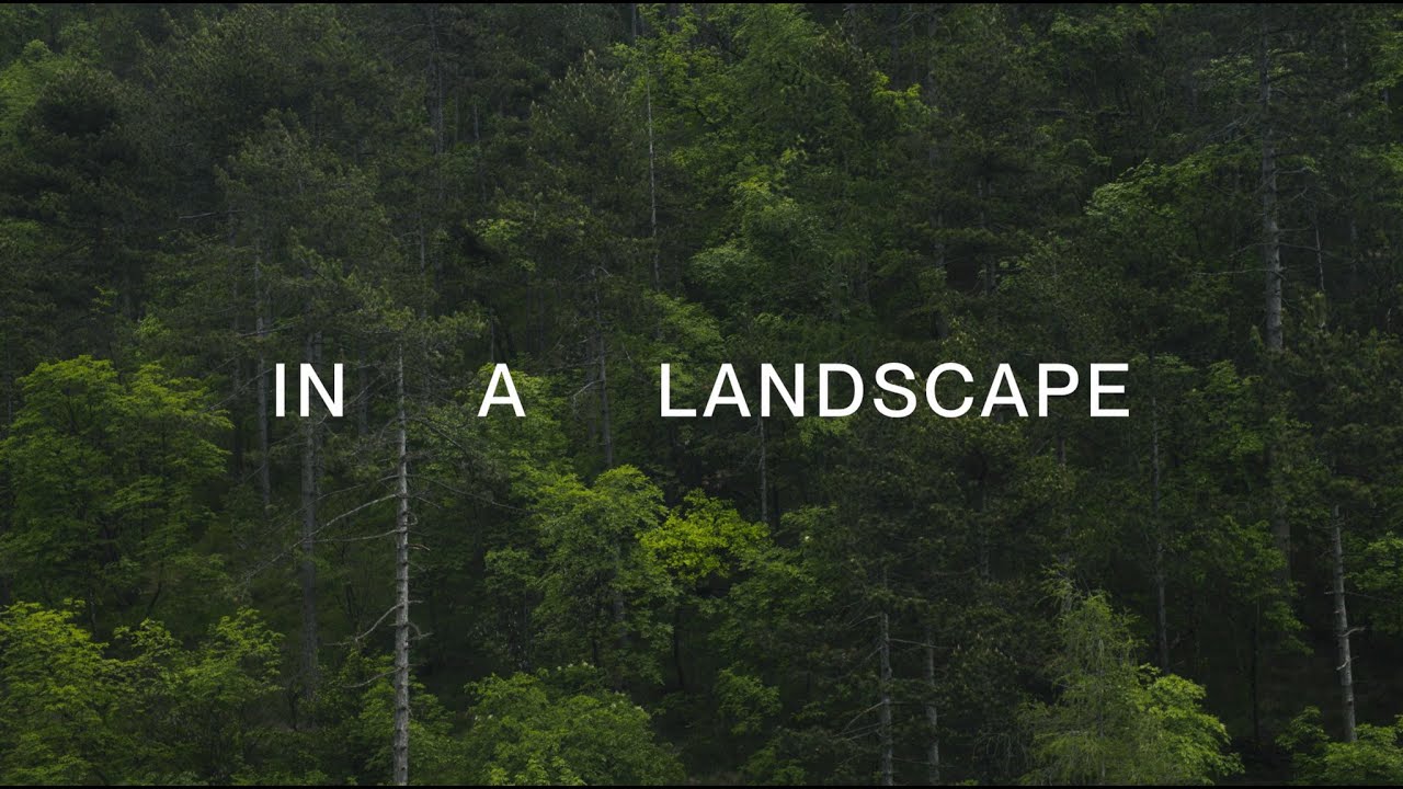 In a landscape  | Leonardo Anker Vandal