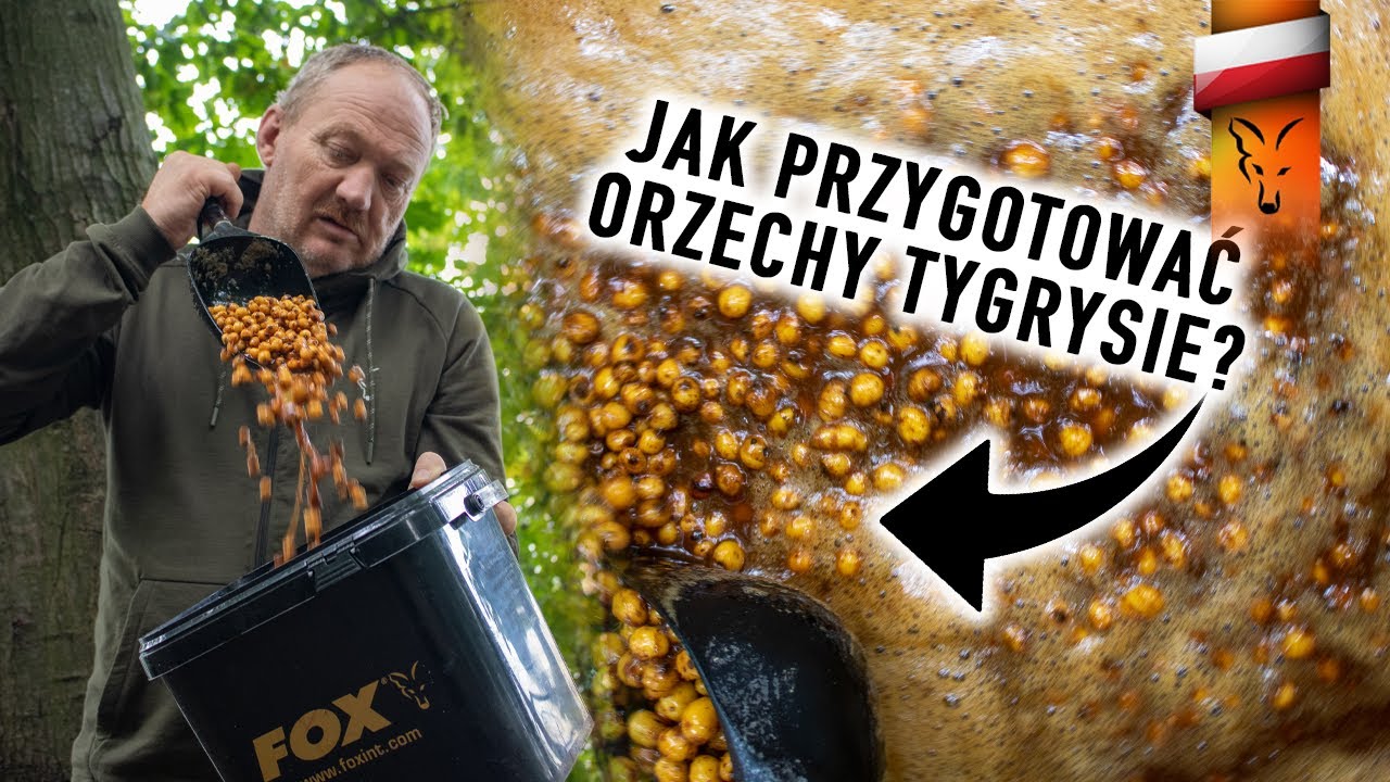JAK PRZYGOTOWAĆ ORZECHY TYGRYSIE? | Fox carp fishing