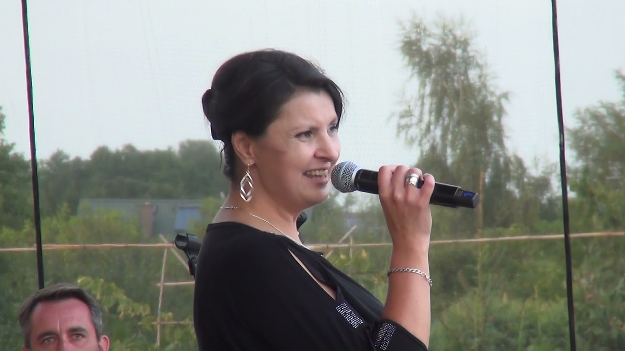 Koncert 