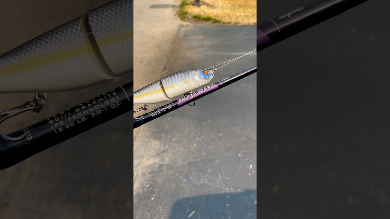 The BEST Bass Fishing Rod For ALL TECHNIQUES!