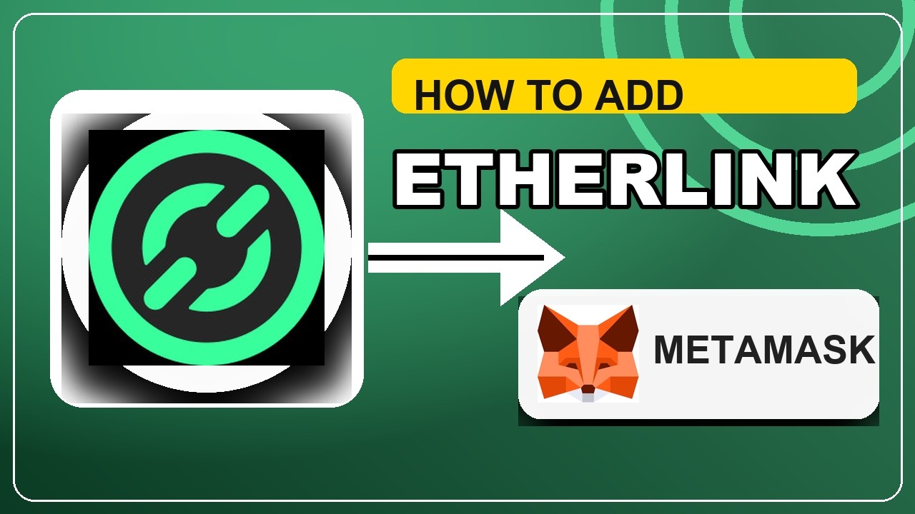 Etherlink MetaMask Setup Guide