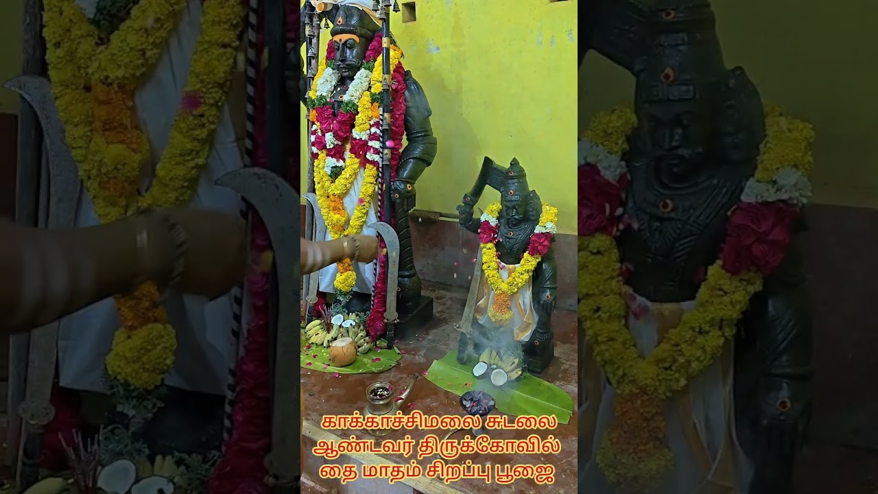 காக்காச்சிமலை சுடலை ஆண்டவர் திருக்கோவில் தை மாதம் சிறப்பு பூஜை..