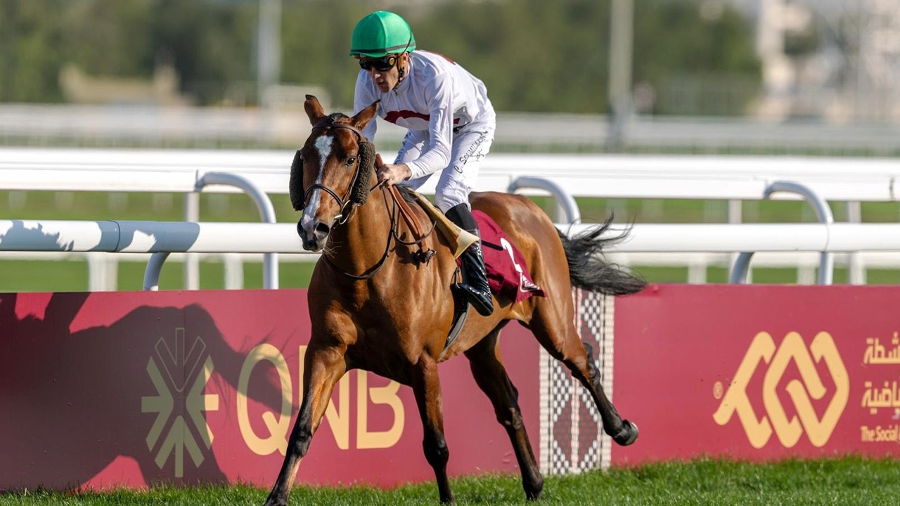RM 51  Al Rayyan Race 2 -  H.H. The Amir Sword Festival - Day 4