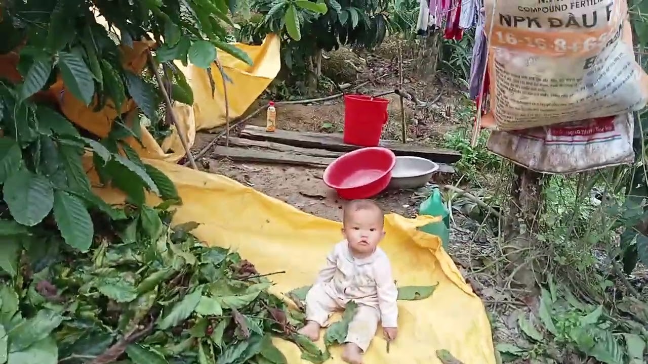 mus de cà phê