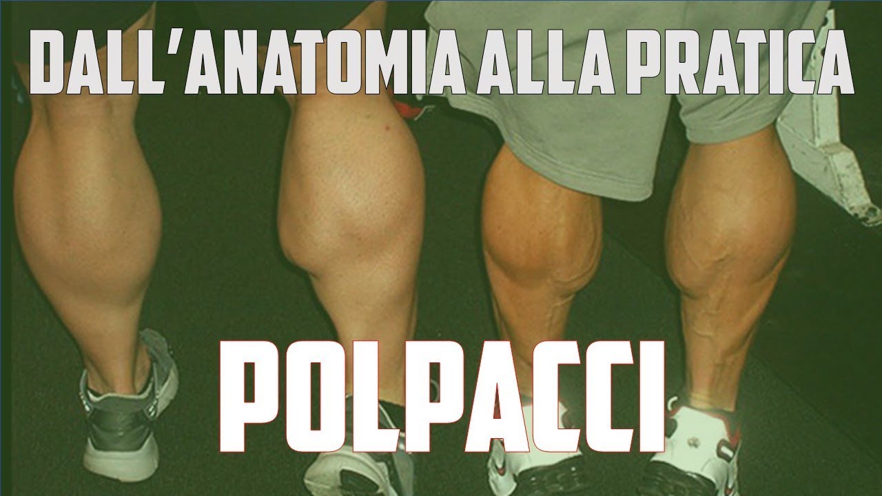 Allenamento polpacci - dall'anatomia alla pratica