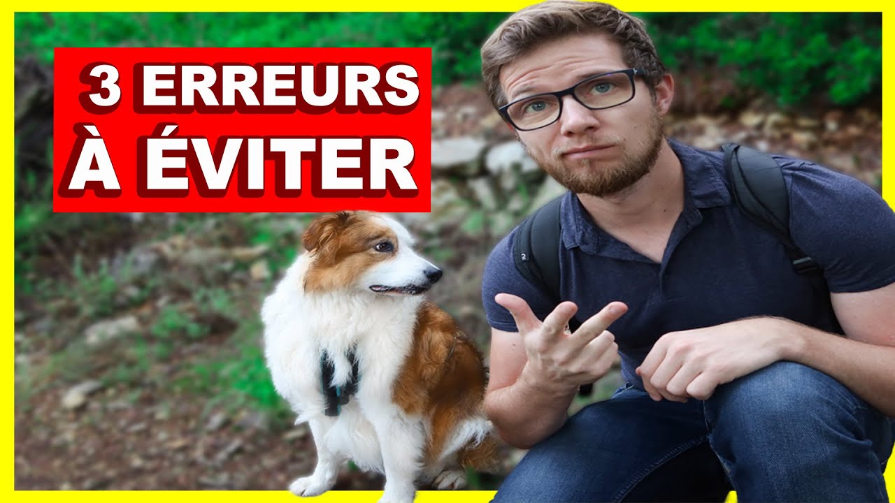 3 choses à faire pour BLESSER emotionnellement son CHIEN