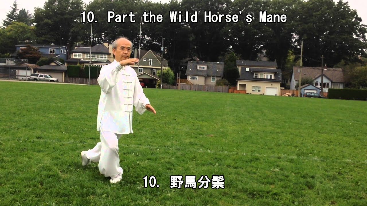 32 Form Tai Chi (Back View) (2013.09.14)