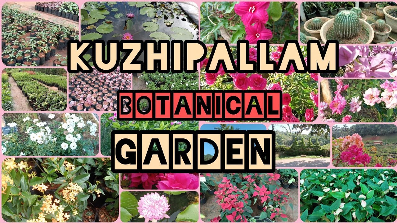 Kuzhipallam botanical garden 
