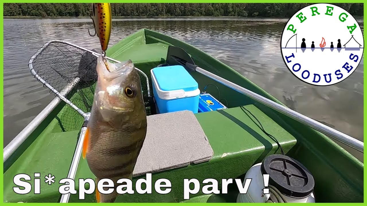 Haugi ja ahvenapüük paadist