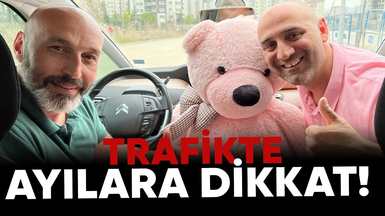 Trafik canavarları! Araba Nasıl Kullanılır?