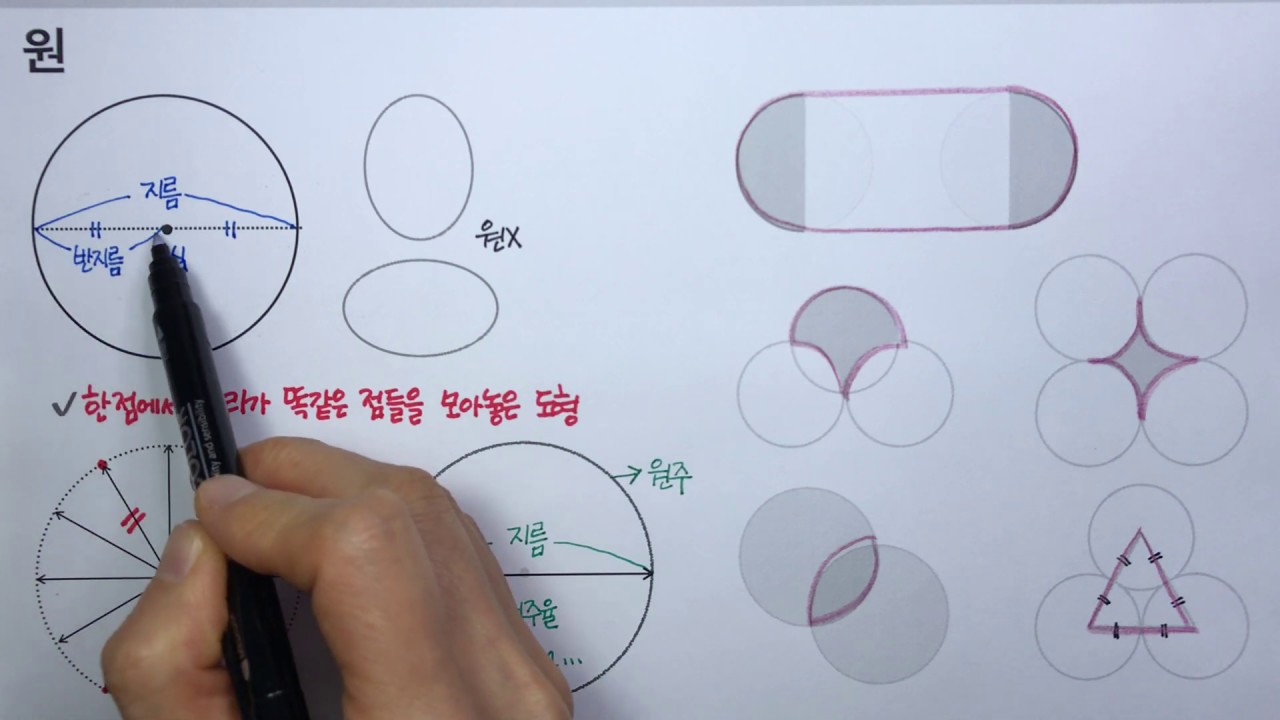 원 : 원의 중심 반지름 지름 원주율 (초등수학)