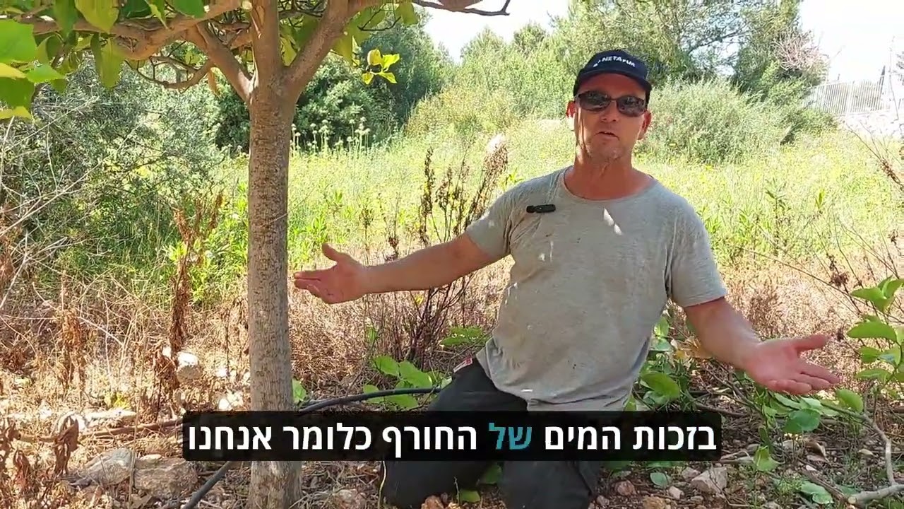 שדרוג מערכת ההשקיה: מצילים את עצי הדר!