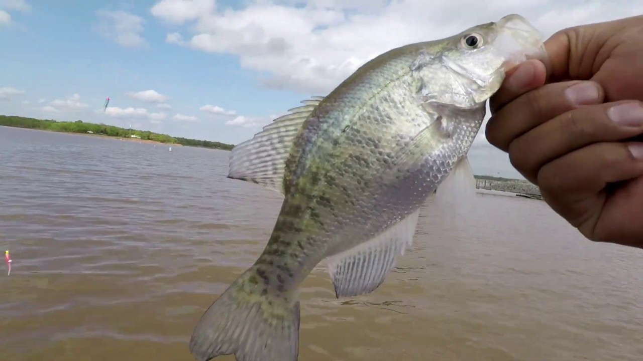 My first time crappies fishing at Lake Arcadia, Oklahoma