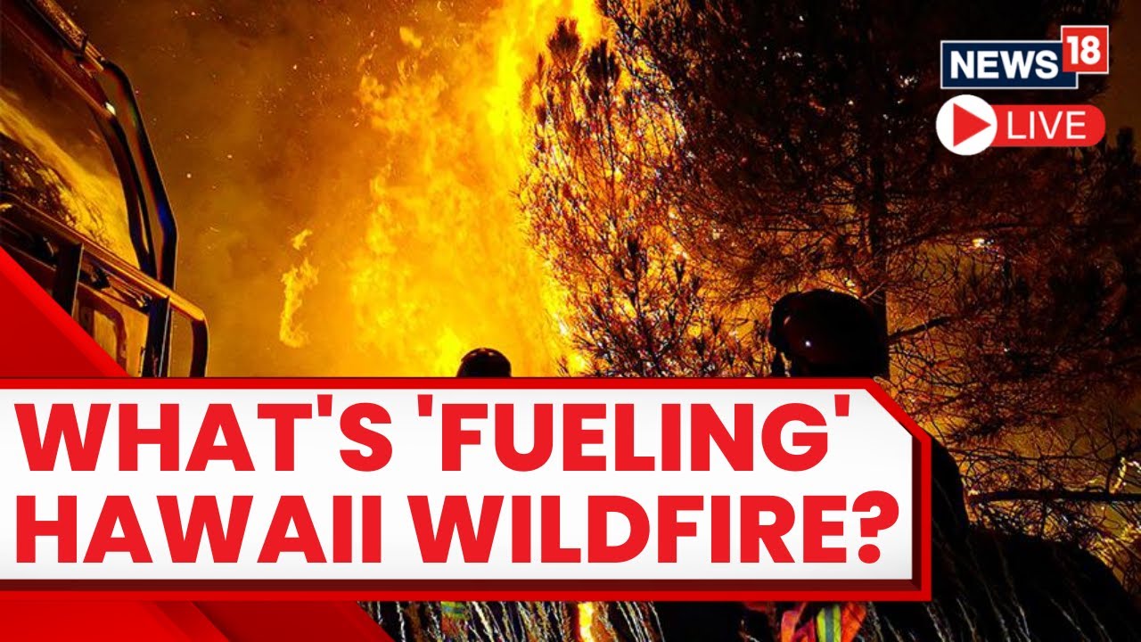 Hawaii Wildfire Live News | Deadly Wildfires Devastate Hawaii&rsquo;s Maui Island | Maui Fires Today News