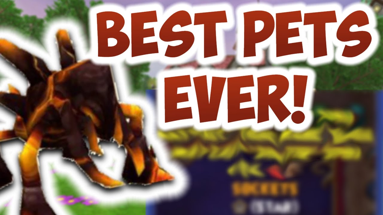 Wizard101: THE BEST PET TRAINING VIDEO EVER!!